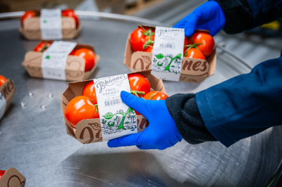 Johannes sustainable packaging tomatoes