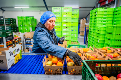 Johannes-Verpackung Äpfel einpacken