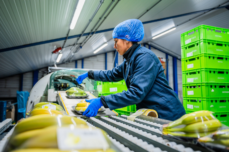 Konventionelle Verpackung Bananen