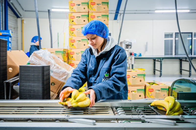 Konventionelle Verpackung Bananen